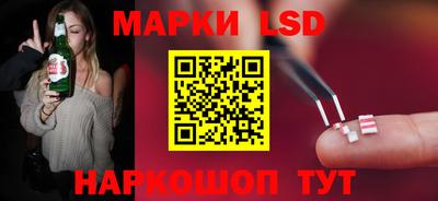 spice Брянск