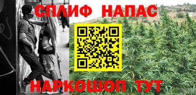 spice Брянск