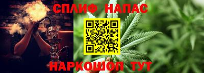 spice Брянск