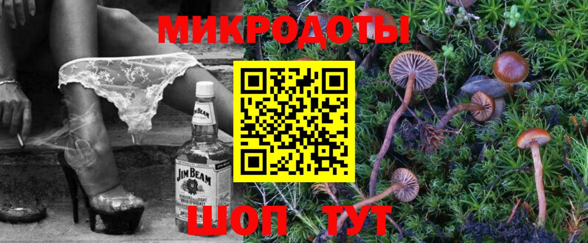 Ишим  Псилоцибиновые грибы GOLDEN TEACHER  Вход с VPN 