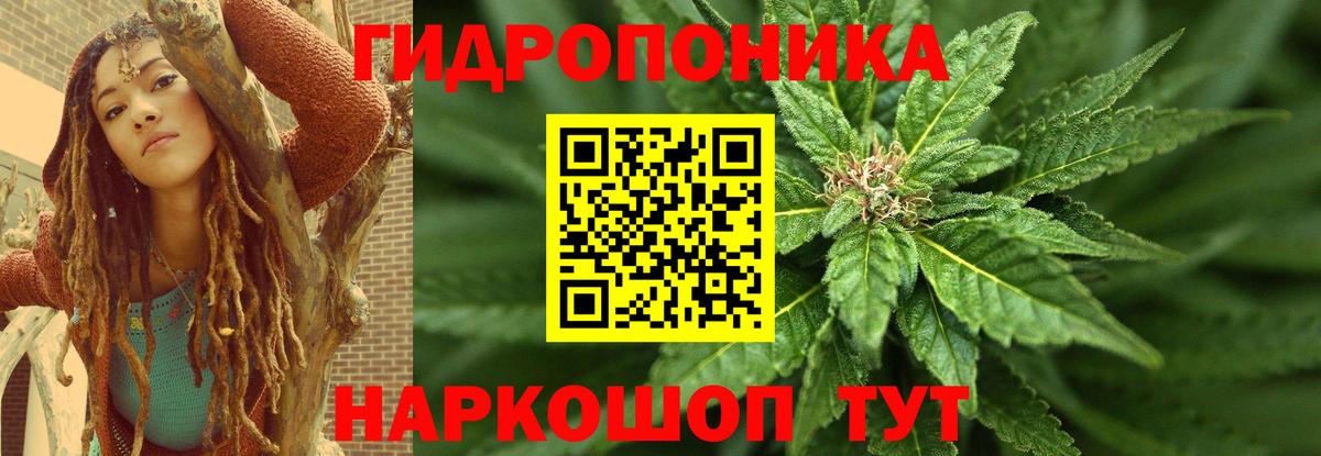 Бошки Шишки индика Ишим